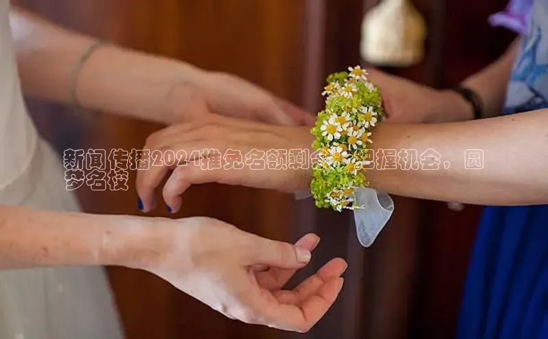 EON4文心一言新闻传播2024推免名额剩余：把握机会，圆
梦名校