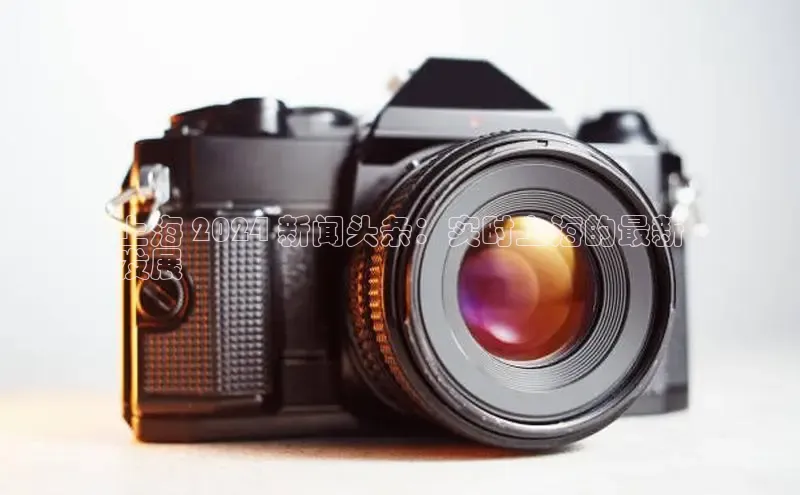 意昂4代理云创智行上海 2024 新闻头条：实时上海的最新
发展