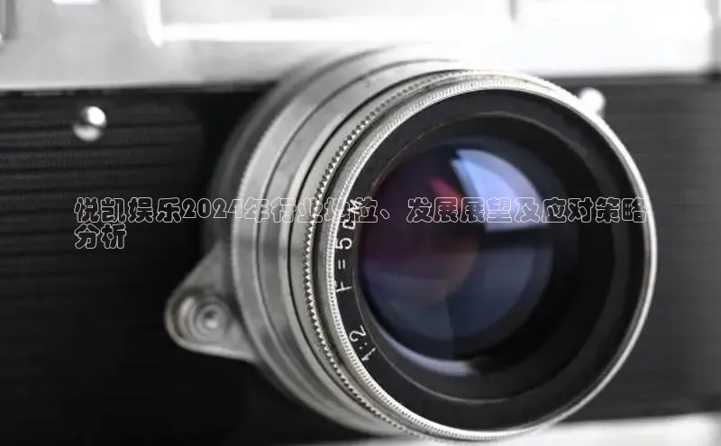 意昂体育4官网百度学术悦凯娱乐2024年行业地位、发展展望及应对策略
分析