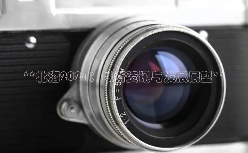 意昂4登录梯哥哥科技**北海2024：最新资讯与发展展望**