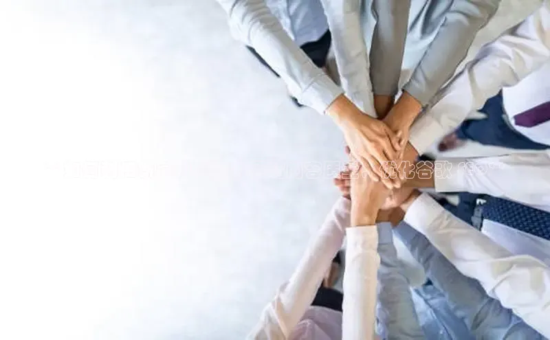 意昂4官网一径科技**如何利用新闻科学提升网站内容质量，优化谷歌 SEO**