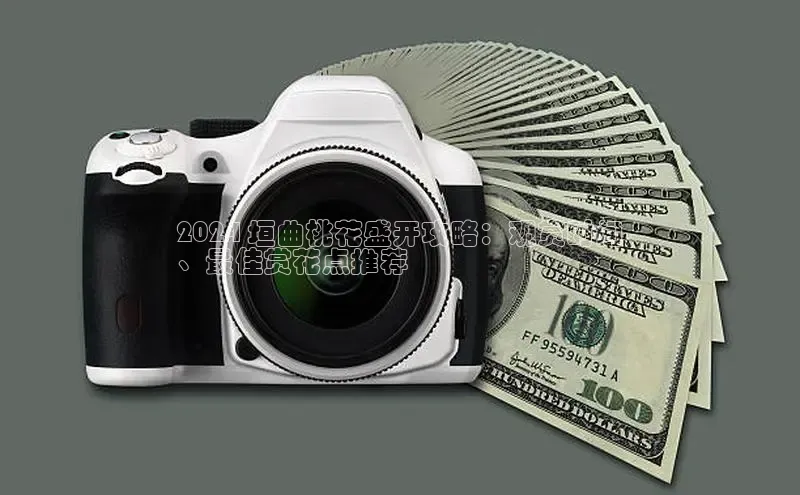 意昂4代理普信公司2024 垣曲桃花盛开攻略：观赏时间
、最佳赏花点推荐