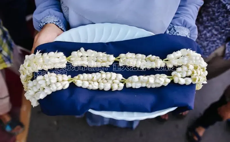 意昂4招商中文在线2024 年菏泽市新闻：重大活动、政策更新和
经济发展