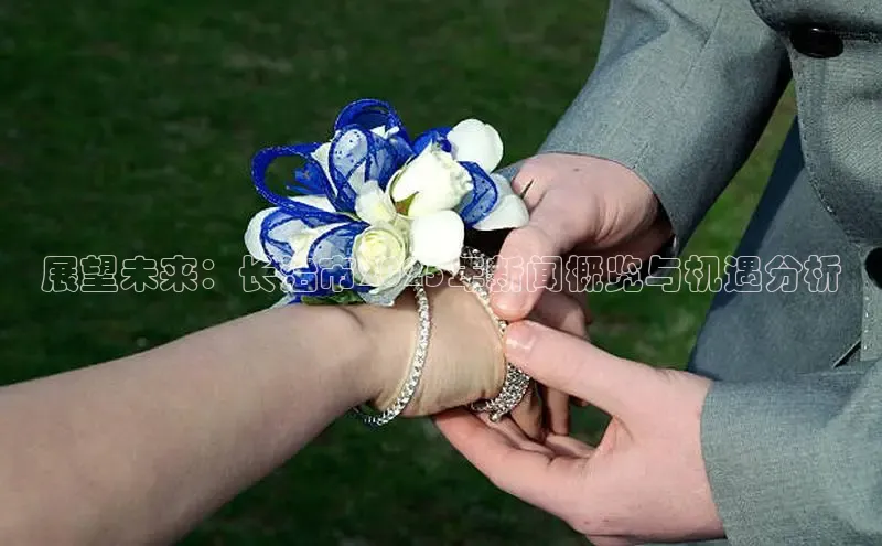 EON4官网美团展望未来：长治市2025年新闻概览与机遇分析