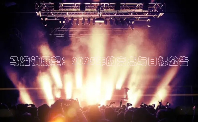 马灌镇展望：2025年的亮点与目标公告