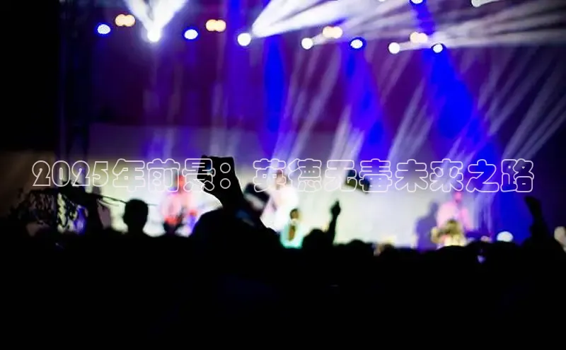 2025年前景：英德无毒未来之路