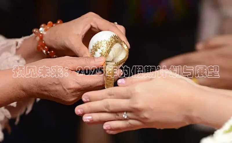 预见未来：2025年的假期计划与展望