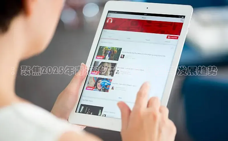 ：聚焦2025年青海油田的未来展望与发展趋势