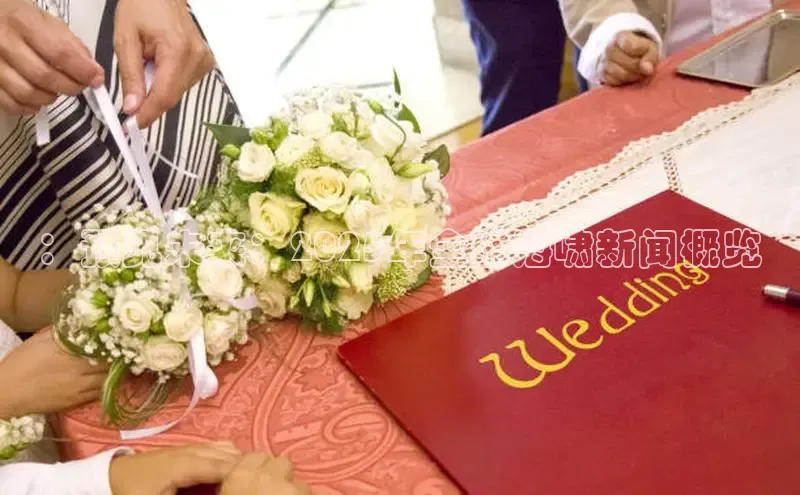 ：预见未来：2025年全球海啸新闻概览