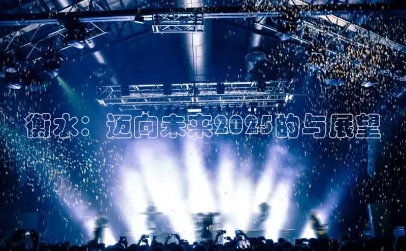 衡水：迈向未来2025的与展望