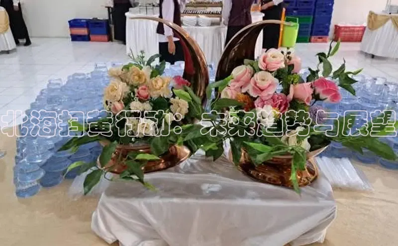 北海扫黄行动：未来趋势与展望